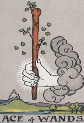 The Ace of Wands Tarot Card Meaning | Kristian von Sponneck